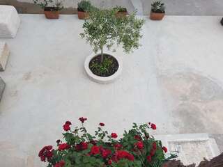 Апартаменты Apartments Dubravcevic Тиват Апартаменты с 1 спальней (для 4 взрослых)-3