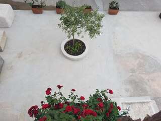 Апартаменты Apartments Dubravcevic Тиват Апартаменты с 1 спальней (для 3+1 взрослых)-23